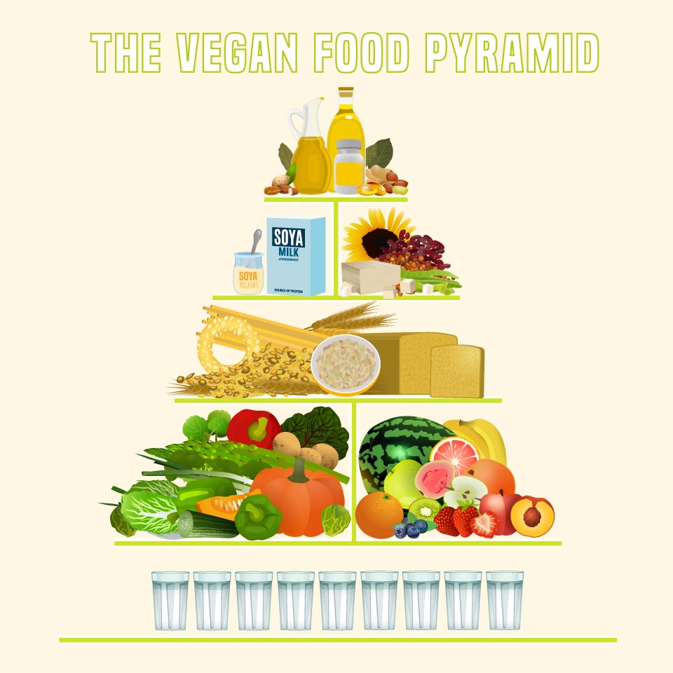 Schaubild der veganen Ernährungspyramide.